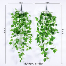 垂爬山绿壁挂植藤条萝藤蔓客厅植物吊兰花壁挂装饰爬山虎仿真假绿