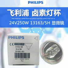 Philips飞利浦13163/5H 13164 13629 24V250W投影光学仪器卤素灯