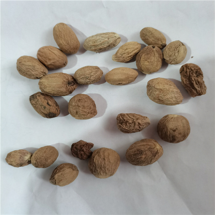 肉豆蔻 肉扣 肉蔻-阿里巴巴