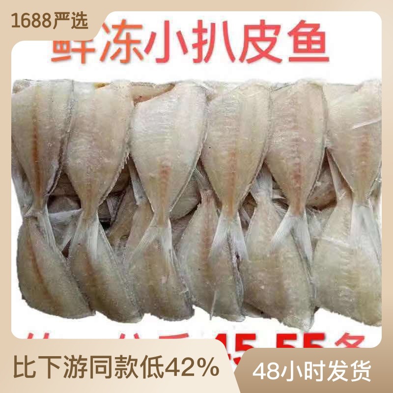 热销海鲜冻品小耗鱼马面鱼鲜冻剥皮鱼玻璃鱼包冰2斤 新鲜包邮