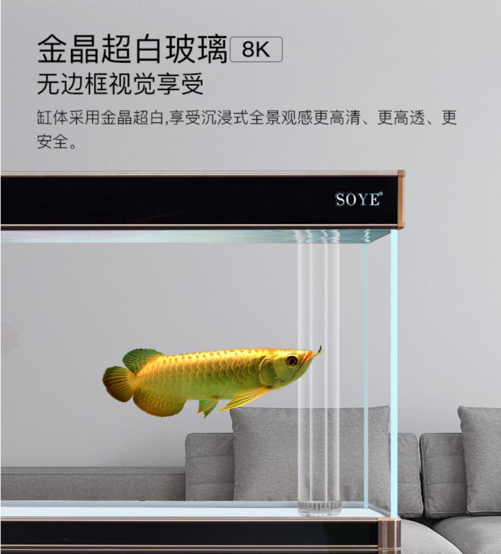 金晶超白鱼缸水族箱落地高端客厅隔断底滤玻璃2021新款大型龙鱼缸