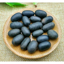 南蛇簕 苦石莲 石莲子中草药 新鲜老鸦枕头猫爪簕喙荚云实 洗生蛇