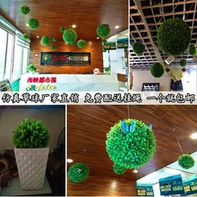 草球塑料草球吊顶装饰藤条四头草球绿色植物草球房顶装饰吊花