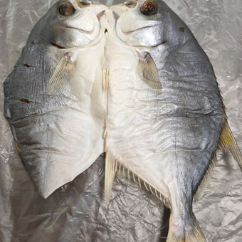 加工定制中裕【脆肉鲩鱼片】无刺无骨皖鱼火锅食材鱼腩片鱼柳鱼肉