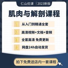 运动课精讲解剖课程解剖系统视频全身教学与组织理疗肌肉肌肉康复