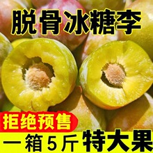 【冰糖脱骨李发货中】四川青脆李子茵红李空心脱骨李土半边红水果