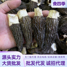 食肆季 头茬羊肚菌云南原产地干货批发 炖汤煲汤滋补批发