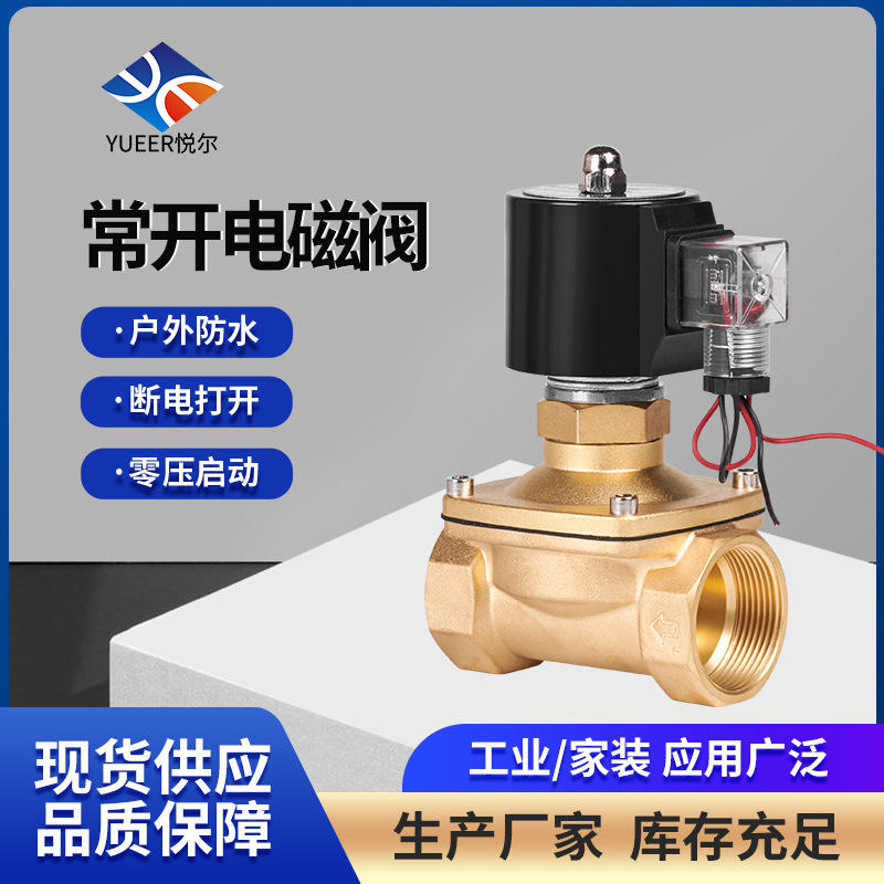 直动式管道控制电子开关22024v常开水阀气阀电子阀铜阀水用电磁阀