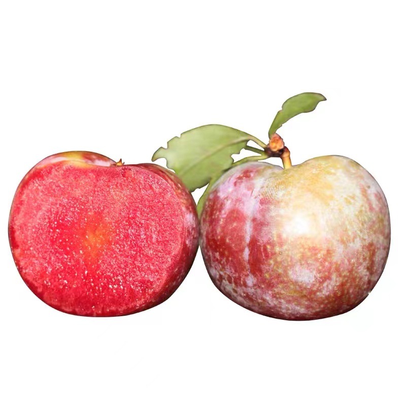 【发顺丰】三华李水果新鲜红心李子当季水果李子三华李一件代发