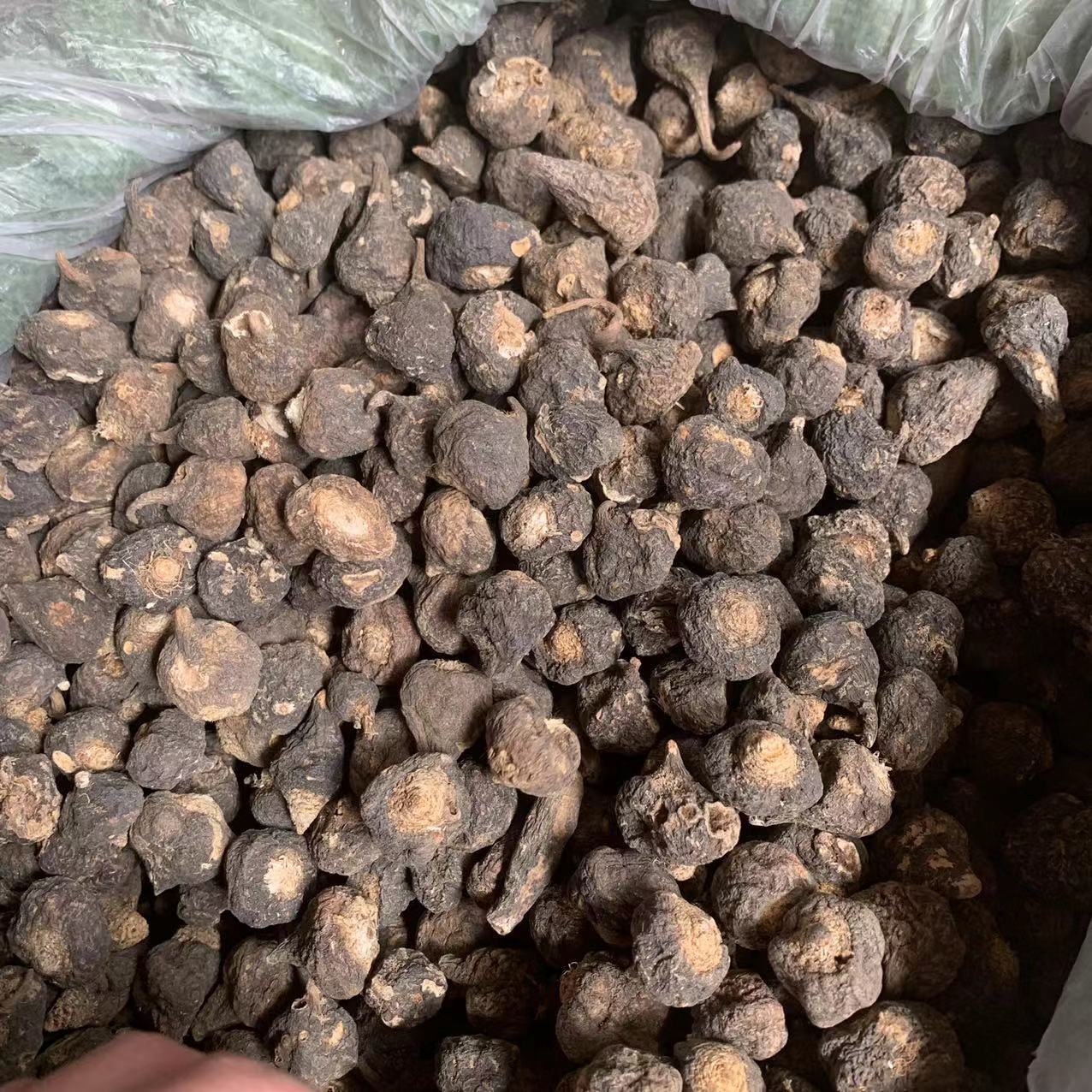 纯秘鲁玛卡 小玛卡进口玛卡秘鲁黑玛卡 小黑玛咖120多头批发