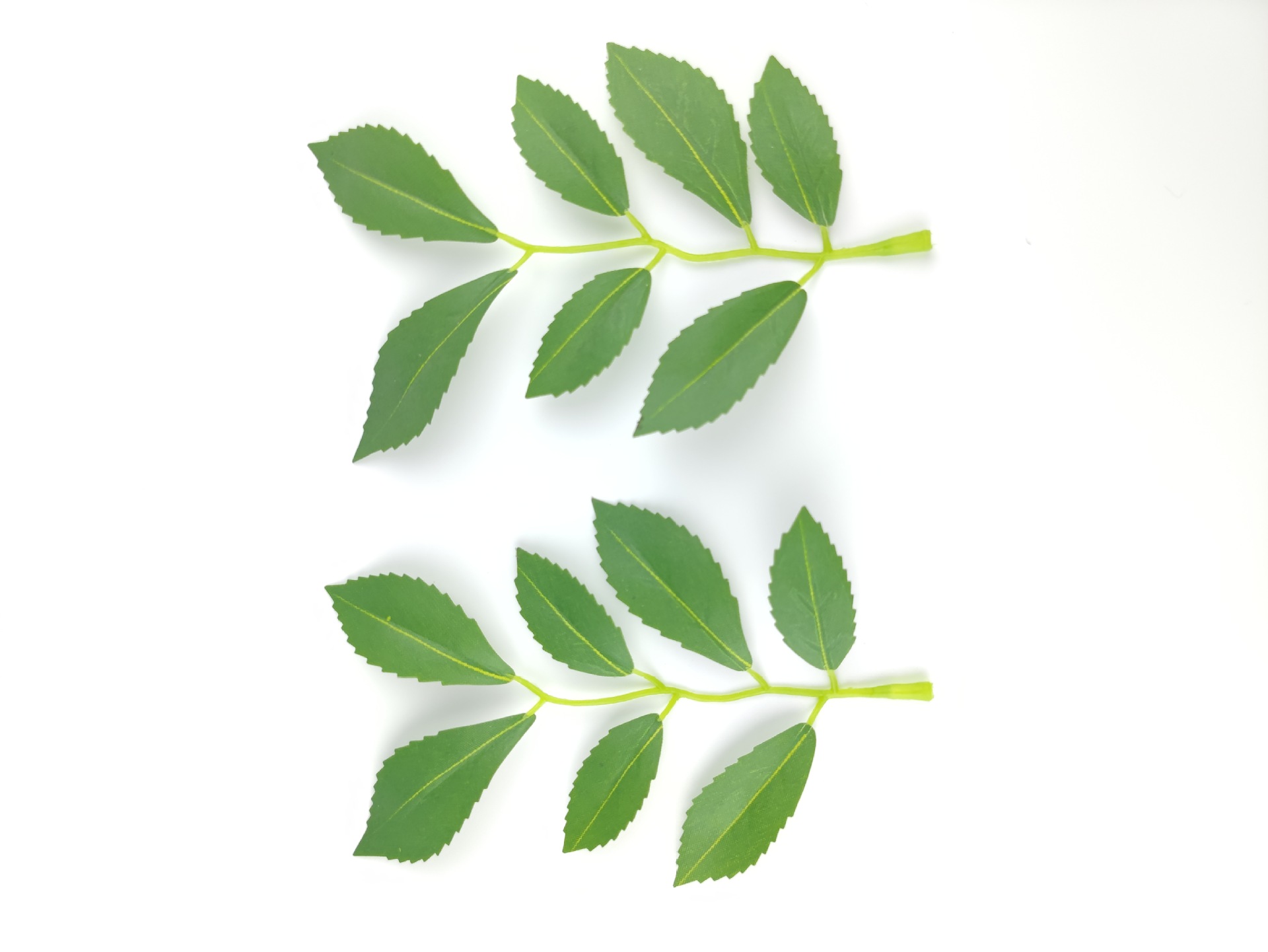 多尺寸仿真红枣叶仿真树叶仿真植物田园枣子树植物墙花环地坪绿叶