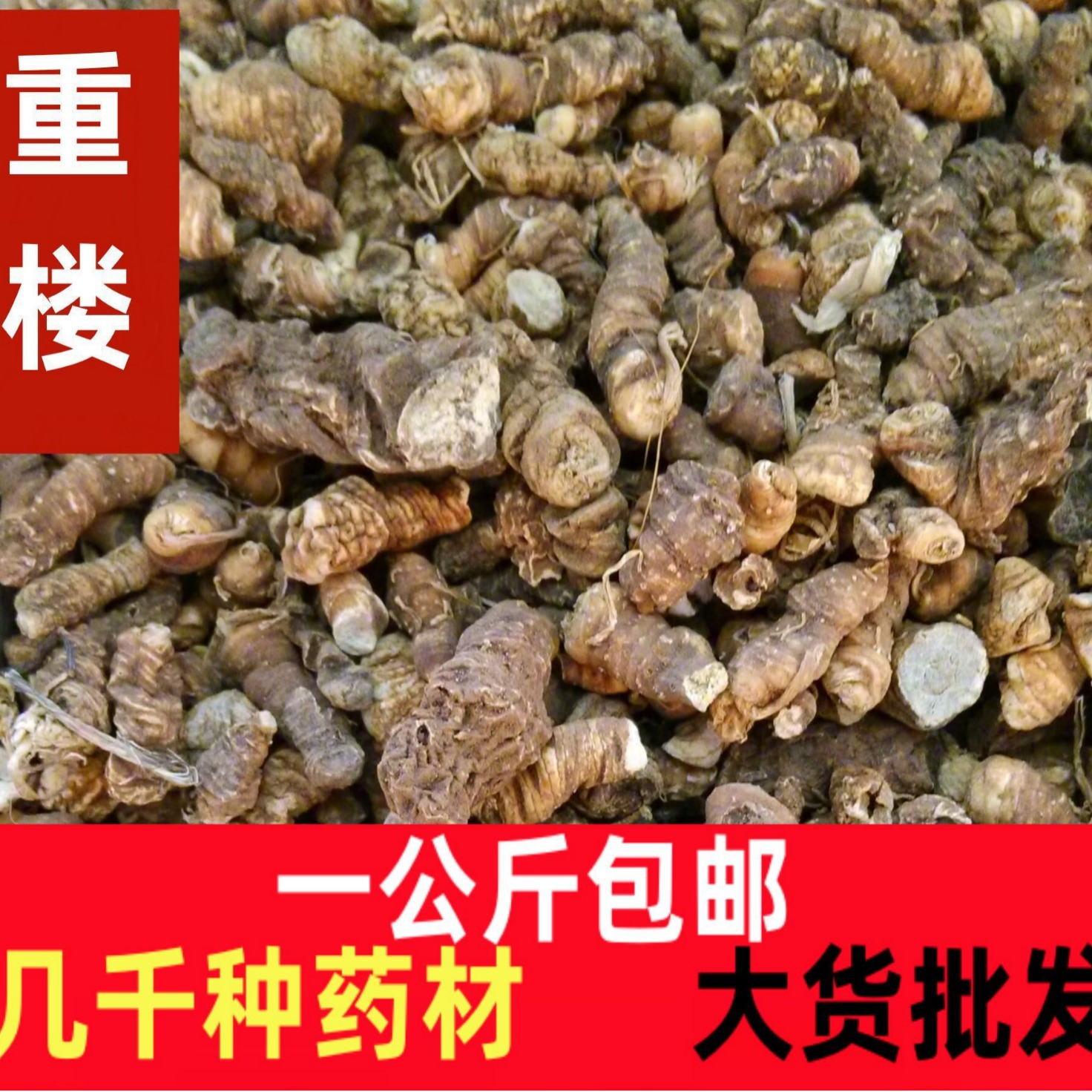 干货重楼云南中药材正宗重楼野生七叶一枝花 独角莲蚤休中药材