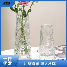 [两件套]ins风北欧玻璃花瓶大号透明水养富贵竹桌面客厅插花摆件