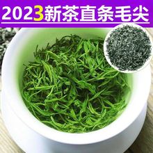 【浓香直条毛尖】2023新茶叶绿茶信阳春茶炒青多规格批发自己喝