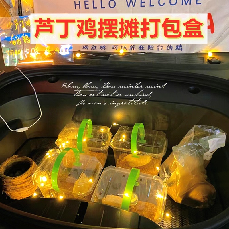 芦丁鸡摆摊笼子出地摊小卢丁鸡打包盒子手提笼提篮透明透气包装盒
