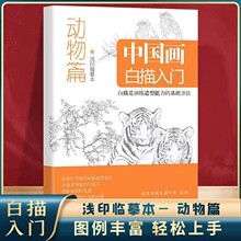 中国画白描入门临摹画册动物篇浅印描摹本零基础入门书绘画描线本