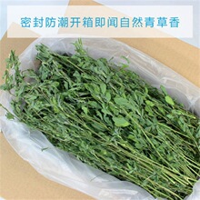 苜蓿草紫花烘干幼兔兔粮饲料牧草干草兔子荷兰猪零食物速卖通代发