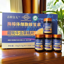 活根金肽藏牦牛虫草精片活根金太海绵体细胞修复素藏牦牛虫草精片