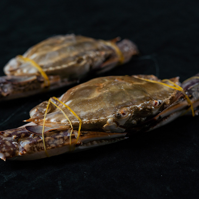 舟山液氮鲜活冻月岙流网梭子蟹大白蟹扎公蟹冷冻海鲜海蟹螃蟹批发