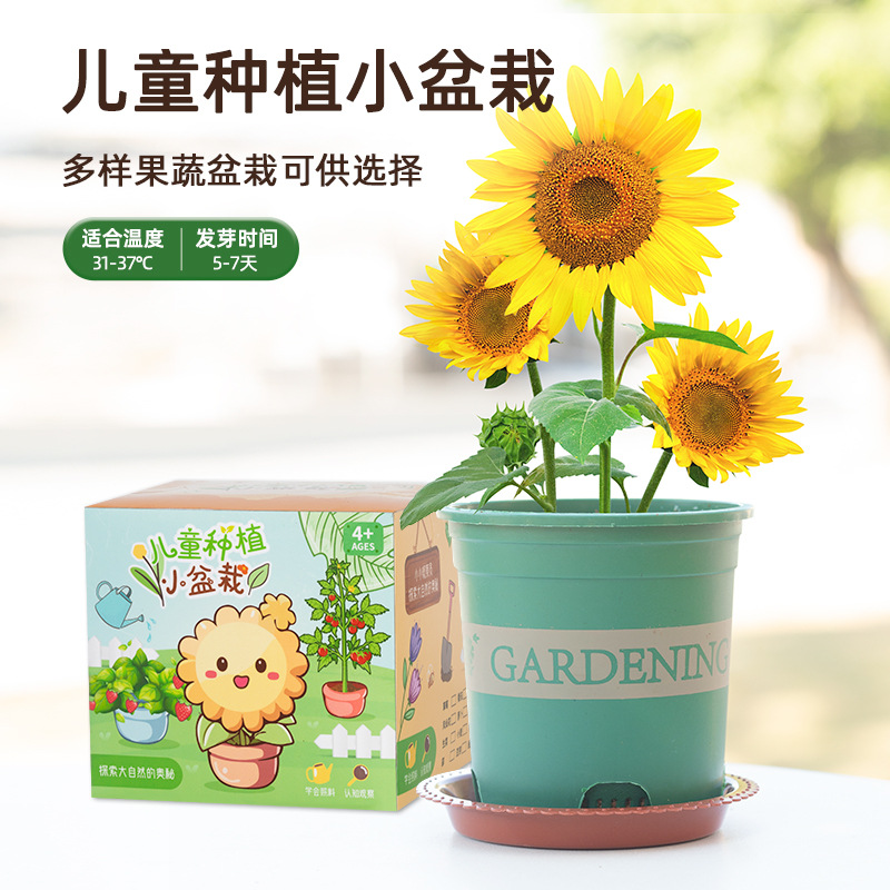 Children's Planting Pot Primary School Student Plant Germination Mini Observation Science Box Diy Kindergarten Tree Planting Festival Gift