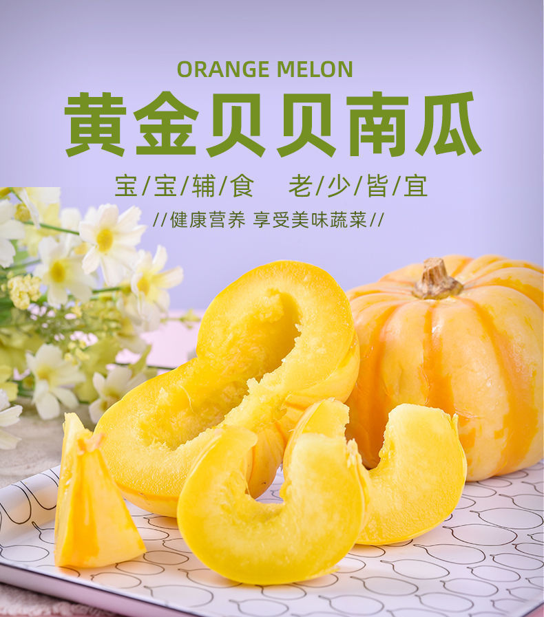 6个顺丰包邮桔瓜黄金贝贝迷你南瓜盅小金瓜酒店雕刻万圣节现货