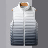 Gradient color Autumn and winter 90 Down Jackets Down Vest Light and thin man Versatile men's wear LOGO printing