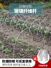 农用小拱棚支架实心玻璃纤维薄膜花棚菜地大棚骨架菜园防冻雪竿