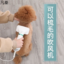 小型狗狗吹风拉毛二合一速干比熊泰迪蓬松一键除毛狗狗洗澡吹梳
