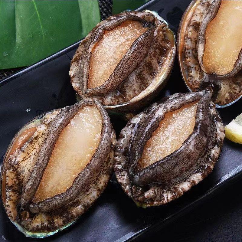 青岛鲍鱼18头 新鲜活冻鲍鱼 鲜嫩肉厚 长5-阿里巴巴