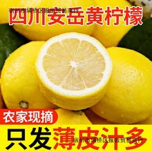 四川安岳黄柠檬新鲜水果5斤包邮当季皮薄香水鲜甜青柠檬现摘现发