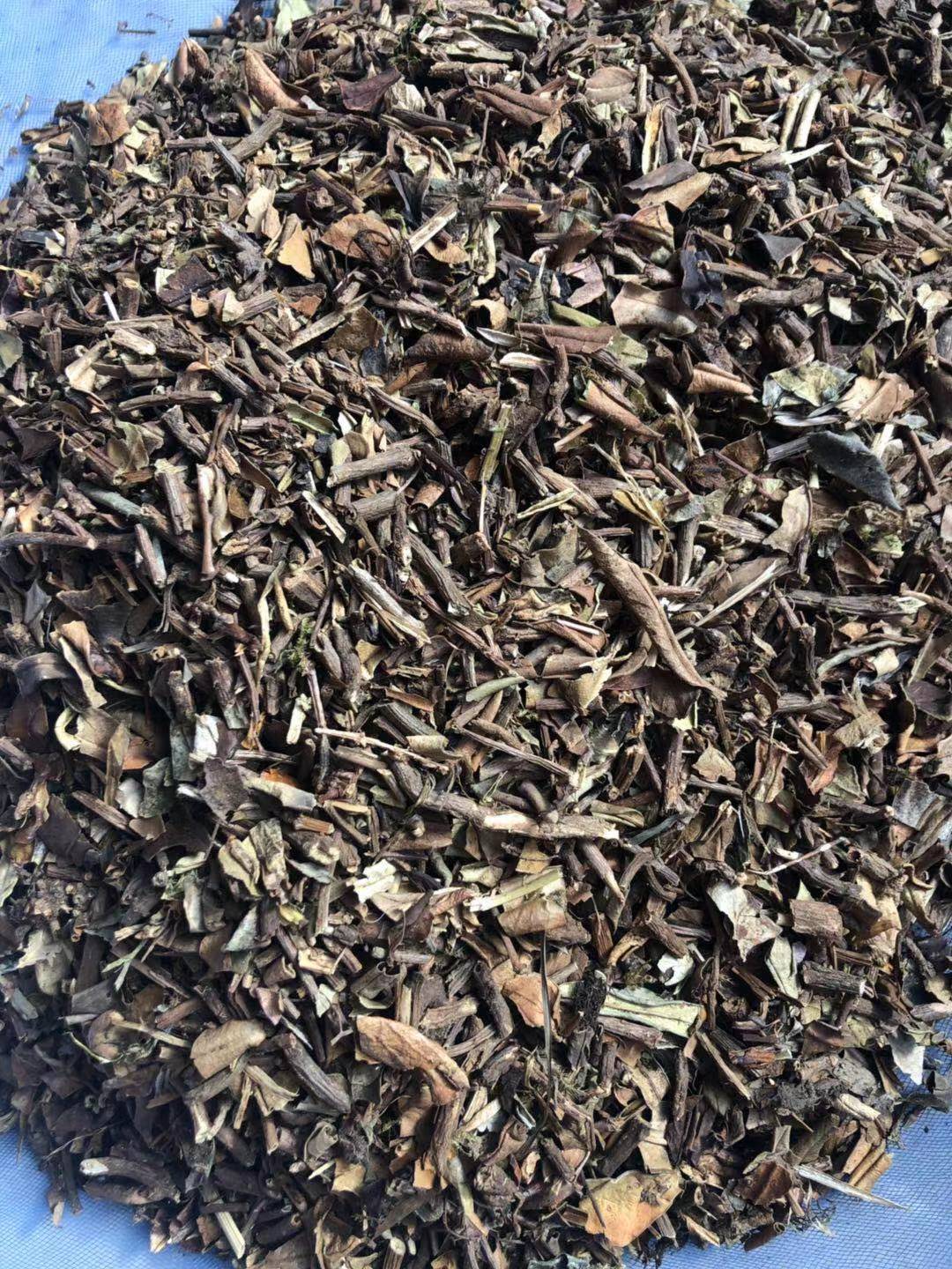 石吊兰 黑乌骨石豇豆 石泽兰小泽兰岩豇豆500克