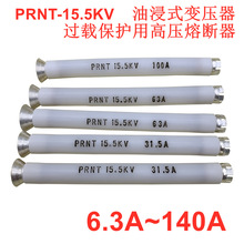 PRNT-15.5KV 140A100A80A油浸式变压器过载保护用高压熔断器STR4