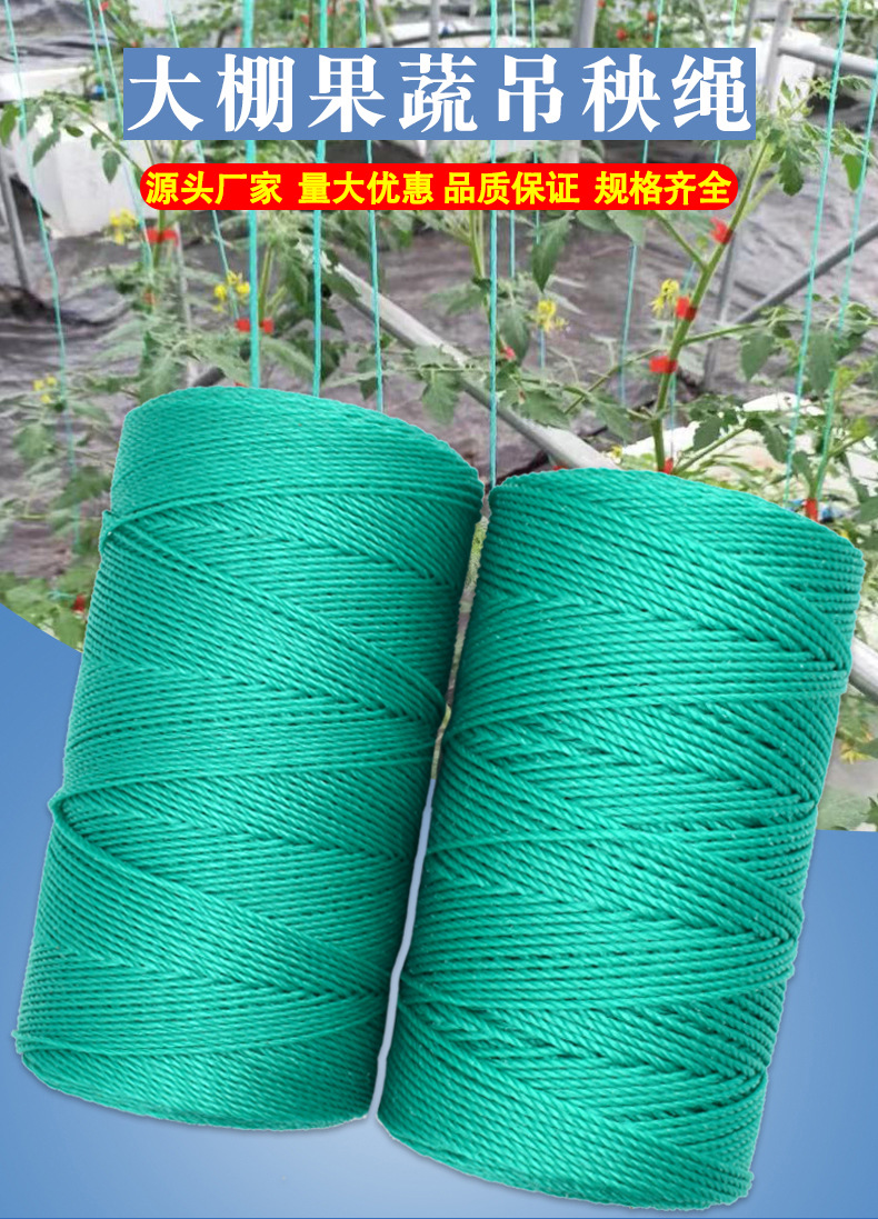 大棚蔬菜吊秧绳爬藤网拉绳穿边绳吊蔓绳尼龙聚乙烯