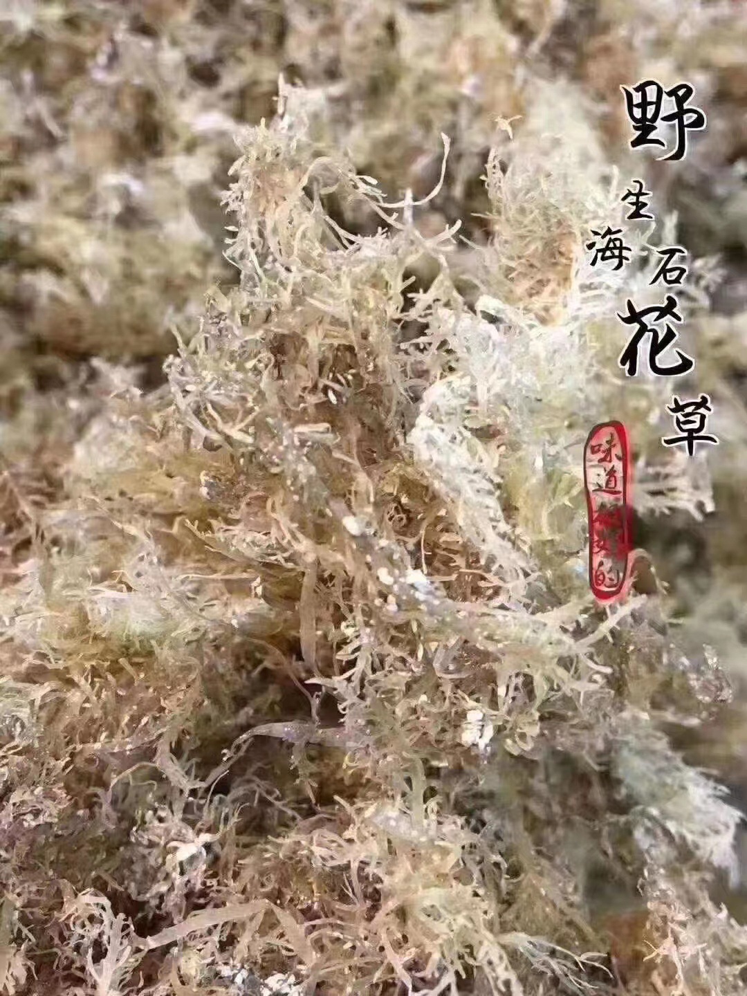 天然海藻果冻-天然海藻果冻厂家,品牌,图片,热帖-阿里巴巴