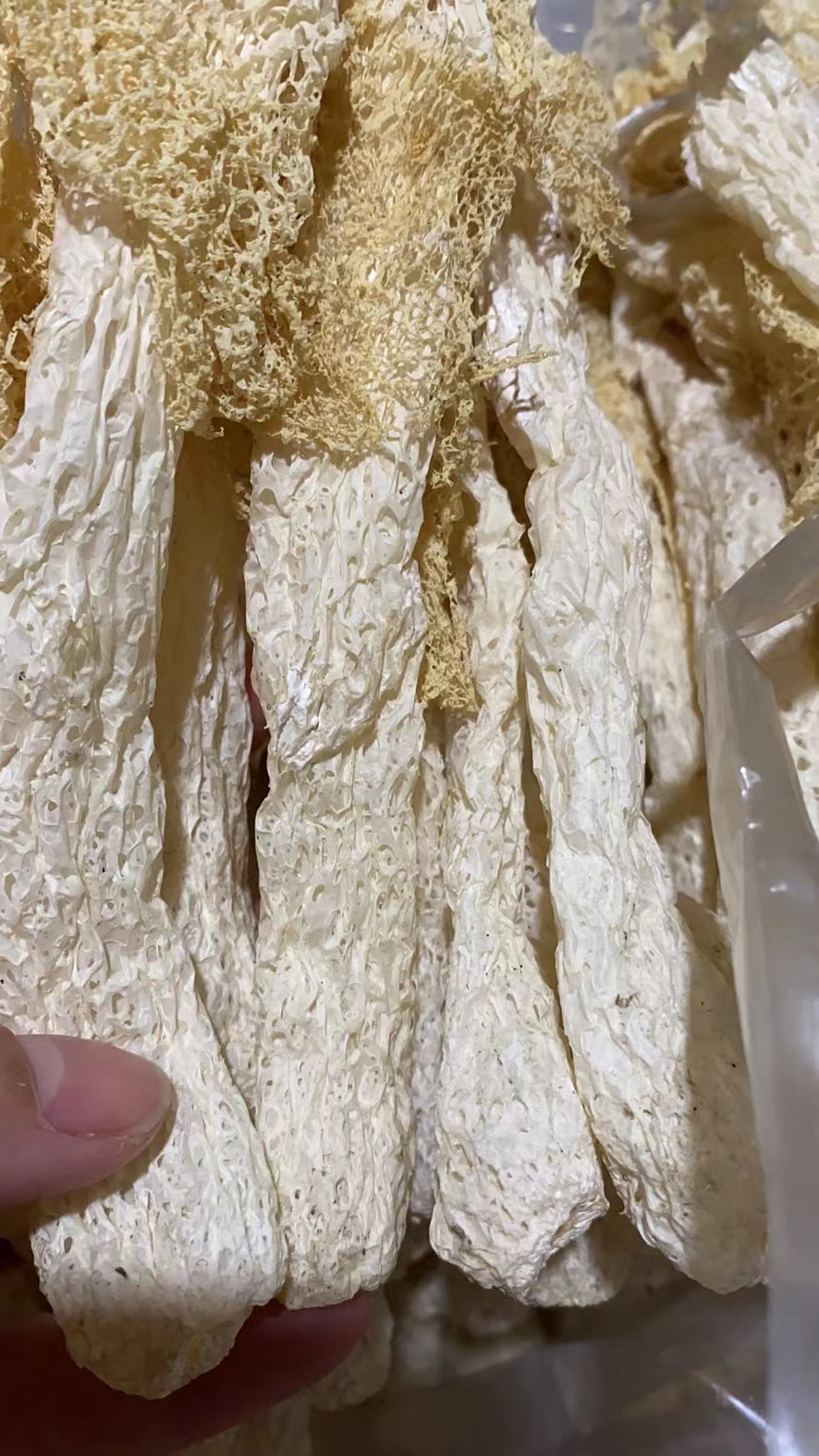 古田长裙竹荪竹参竹笙 福建没熏硫竹荪干货批发送礼50g装量大从优