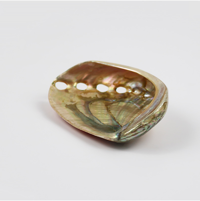 天然红花鲍鱼壳鱼缸造景水族箱装饰创意摆件海螺贝壳拍摄道具批发