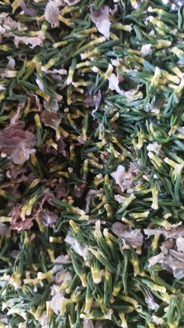 莲子心江西特产送礼佳品-阿里巴巴