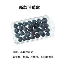新款蓝莓盒一次性水果盒塑料小包装桂皮杨梅香料八角盒荆芥包装盒