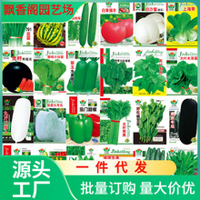 一件代发蔬菜种子四季播盆栽阳台庭院香菜青白菜萝卜生菜小葱菠菜