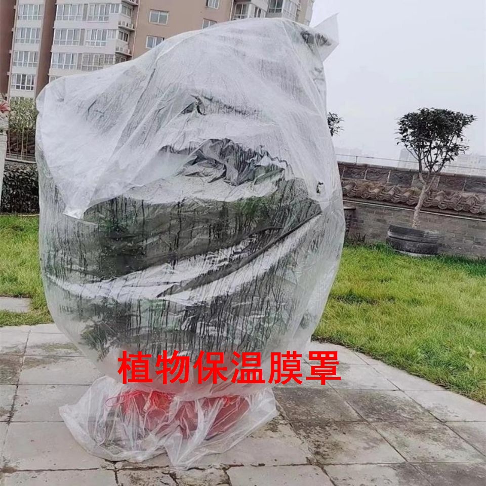 铁树防冻罩冬天盆栽花卉多肉防寒罩保温罩室外冬季桂花树白兰树罩