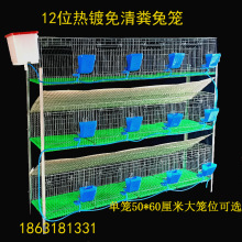加粗加密热镀锌兔笼养殖笼位位种兔笼免清粪兔子笼子母笼