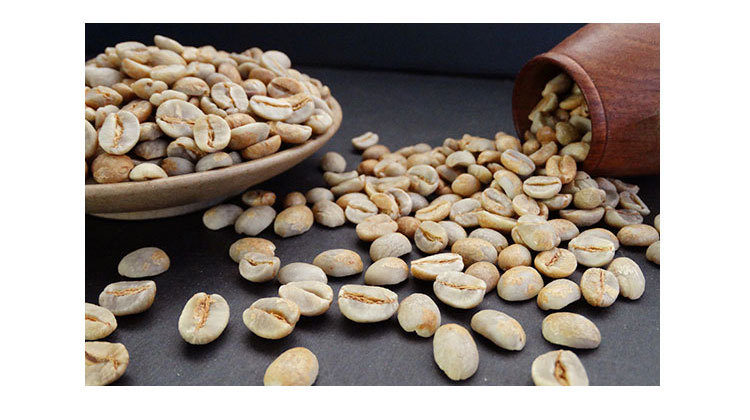 云南厌氧日晒 铁皮卡咖啡生豆 微量批次阿拉比卡酒香保山高晟庄园