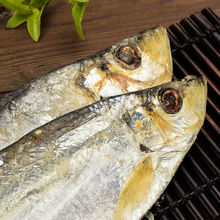 野生白磷鱼咸鱼500g咸鱼干咸香鱼清蒸鱼腌制海鱼海鲜曹白鱼白鳓.
