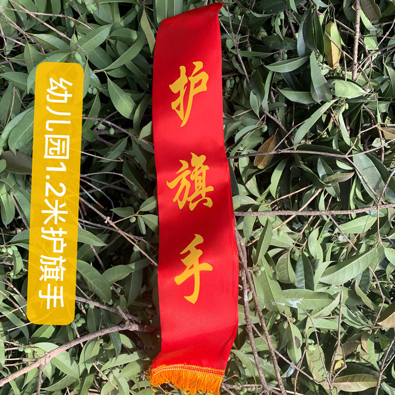 小学生礼仪带迎宾带少先队升旗手护旗手绶带红领巾监督岗可制