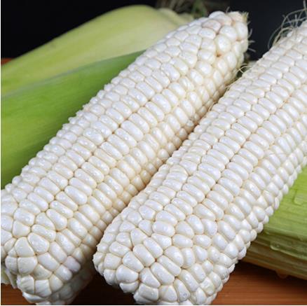 顺丰包邮 海南928小甜糯新鲜玉米包谷甜糯香粘巨好吃