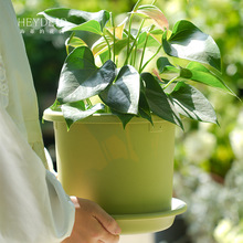 海蒂的花园爱丽思树脂花盆托盘月季绣球绿萝玫瑰花盆栽塑料盆托