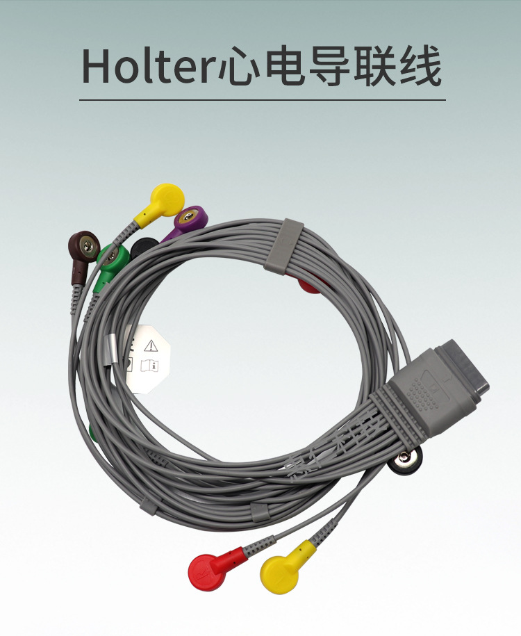理邦se-2012动态心电图工作站12导扣式holter导联线el10nisho1