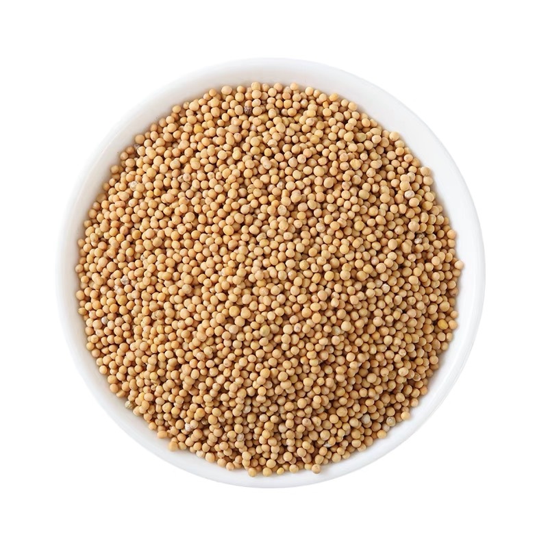 中药材批发供应 白芥子 芥菜籽 青菜籽 各种规格 量大从优