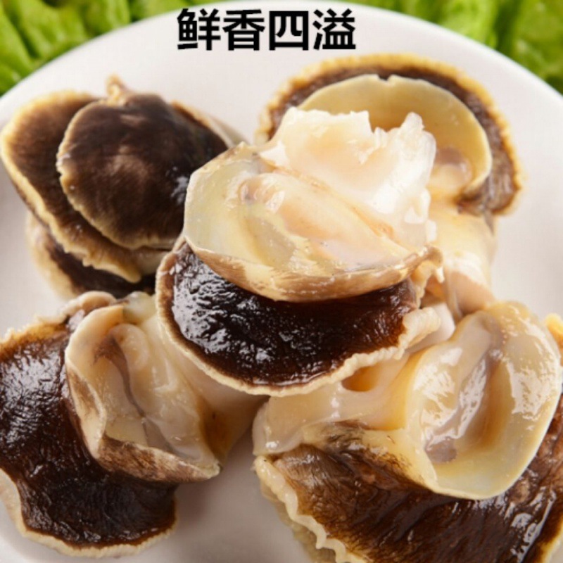 新鲜冷冻大香螺肉去内脏500克/份深海水产贝类玉螺肉海螺肉香螺肉