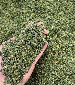 霜后桑叶茶桑树叶桑葚打秋后桑叶新鲜中药材桑叶-阿里巴巴